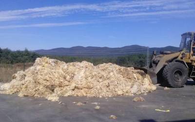 Mank-ek 15.100 kilo artile jaso ditu