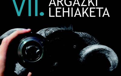 Pulunpeko argazki lehiaketan parte hartzeko, azken egunak!