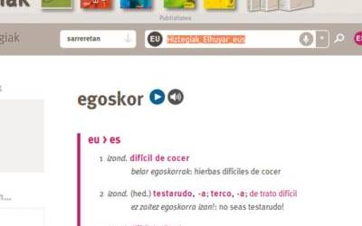 Elhuyar hiztegiak mende laurden bete du