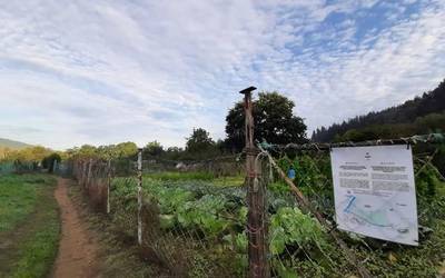 Tornosoloko herri ortuak "beharrezkoak" direla adierazi du Abadiñoko EH Bilduk