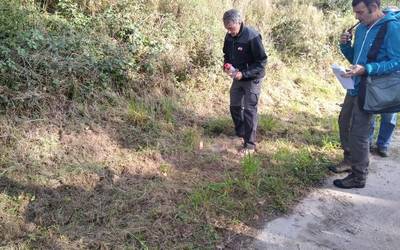 Mendi publikoen mugarritze lanak egingo dituzte urriaren 19an