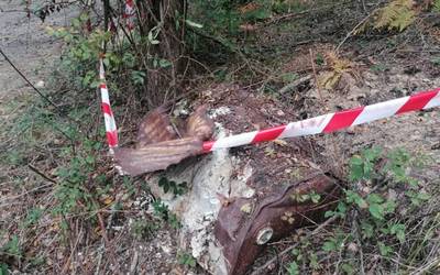 Aramaioko Udalak argitu du lindanoa izan dezakeen bidoia bere lurretatik kanpo dagoela