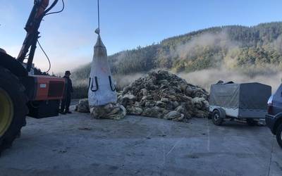 Artile bilketa eguna izan da gaur Debagoienean; 47 erabiltzaile gerturatu dira