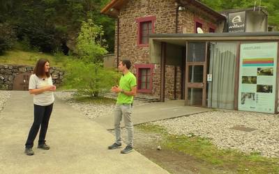 Parketxeak Bizi - Arditurri