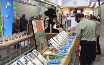 Erreka bazterreko perretxikoak eta Golindo, Natur Asteko erakusketako protagonistak