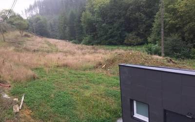 Parke berrirako dauden aukera bien arteko erdibideko bat landuko dute Mallabian