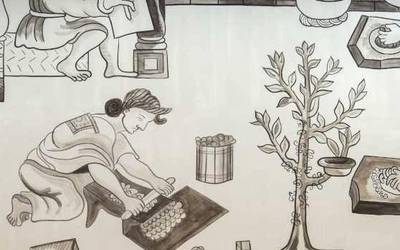 Mariana Castillo Deballen 'Amarantus' erakusketa, Artiumen ikusgai