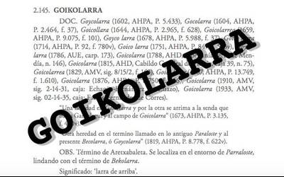 Gasteizek auzo berria du: Goikolarra