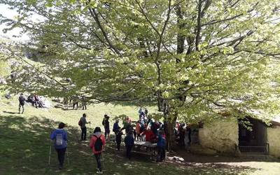 Zabalik da mendi federazioan datuak aldatzeko epea