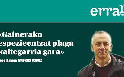 Seigarren suntsipen masiboa