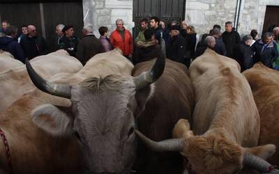 Lesakako feriak asteazkenean eta ortzegunean ospatuko dituzte