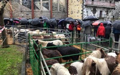 Euriari aurre eginez 224 azienda plazaratu dituzte Lesakako feria egunean