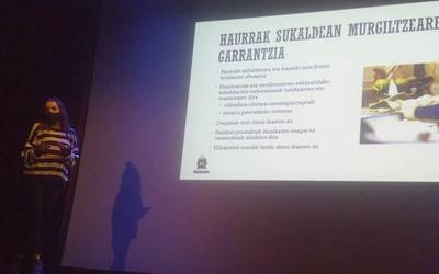 'Plateraren ertzak' hitzaldia ostegun eta ostiralean Goizuetan eta Leitzan