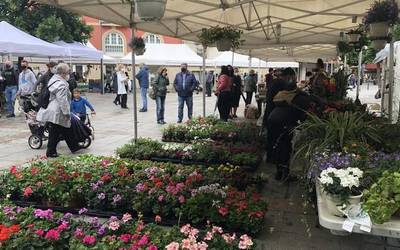 Garaiko produktuak eta askotariko landareak Seber Altube plazan zapatuan