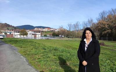 EAJ-PNVrekin, Artziniega Bizirik