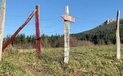Erronka berriak zehaztuta, bidea egiten jarraitzeko prest daude Leintz Lotzen taldeko kideak