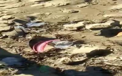 Bideoa: Urizkinan plastiko mordoa dagoela salatu du herritar batek