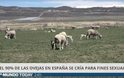 'El Mundo Today' hedabide satirikoa auzitara eraman nahi izan zuen euskara munduko hizkuntza zailenetakoa dela dioen epaileak