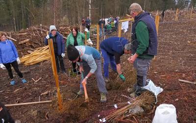 Zuhaitz landaketa eguna izan da gaur Munoaundin