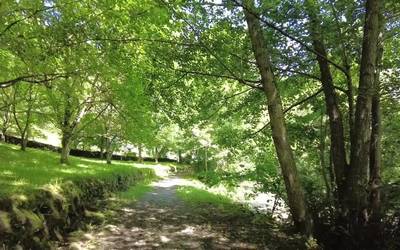 Barandiaran Museoak eta Lizarrustiko parketxeak kultur ekintza berriak antolatu dituzte