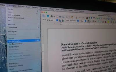 Ama hizkuntza eta 'sentsibilizazioa'