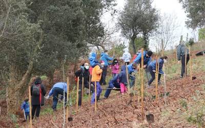 Bertan behera utzi du Geoparkeak biharko zuhaitz landaketa