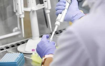 Atzo 15 positibo atzeman zituzten gure lurraldean, Nafarroa osoan 296