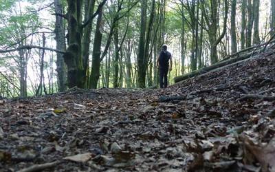 Artikutzako burdinolen bidearen bisita gidatua eginen dute martxoaren 26an