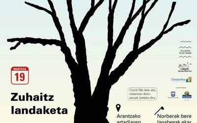 Pasa den iganderako antolatutako zuhaitz landaketa larunbat honetan egingo da