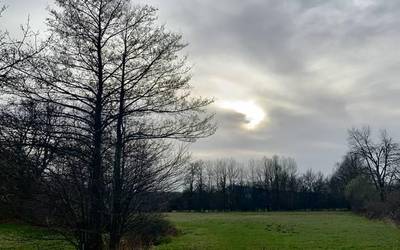 Zeru estaliak eta haizeteak