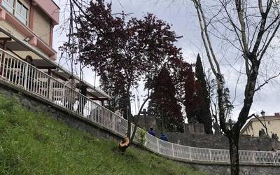 Bihar arte, alerta horia haizearengatik