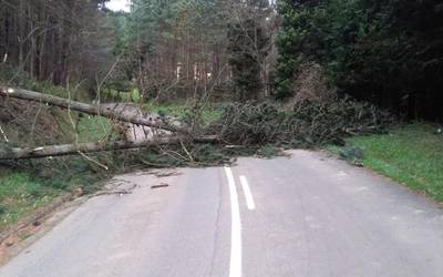 Bolibarko errepidea oztopatzen