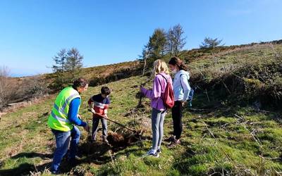 Bertako zuhaitz gehiagorekin laga dute Kalamua eskola-umeek