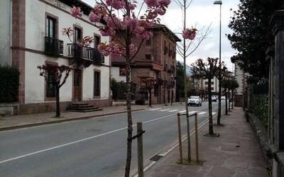 Baztango Udalak zuhaitz berriak landatu ditu Elizondoko karriketan