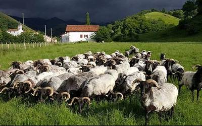 Sormarken eguna egin zen azaroaren 3an Itsasun