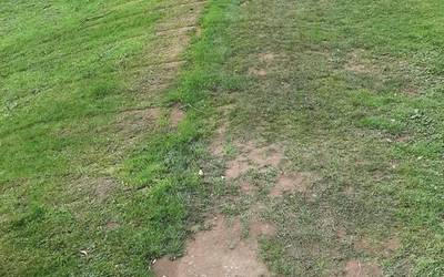 Kejie ta desditxie: 'Intsausti parkearen ondoko zelaian bidezidorra irekitzen ari da'