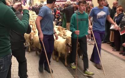 Artzain Eguna bueltan da: apirilaren 20an Ordizian