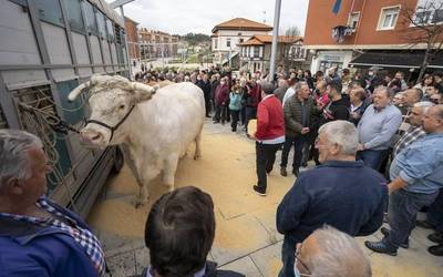 Bi koloso aurrez aurre Urdulizen