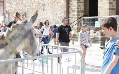 San Isidro azokan bertako ganadua eta produktuak nagusi