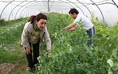 'Lehen sektorean ekiteko gida' aurkeztu du Cederna Garalurrek