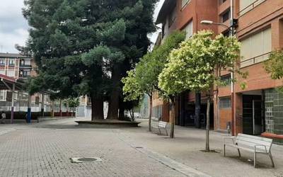 Abadiño eta San Miguel de la Ribera senidetu egingo dira