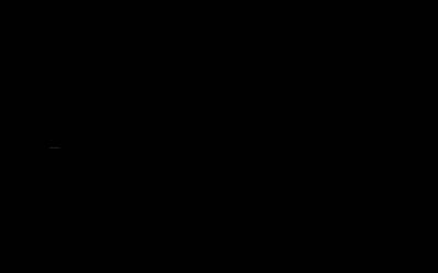 Trantsizioak