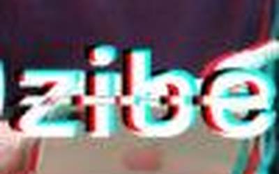Bziber  lehiaketaren  bosgarren  edizioa  maiatzaren  10etik  ekainaren  10era  bitarte  egingo  da