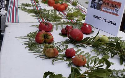 Irailaren 11n egingo da Tomatearen Azoka berezia