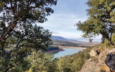 Haran hertsitik, tontorreraino