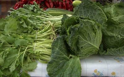 Nekazaritzako produkturik onenak egongo dira eskuragarri zapatuan Urdulizen