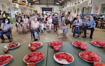 Tomate zaharraren arrastoaren gibeletik