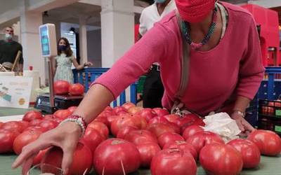 Tomate Zaharraren VII. azoka eta EKOmerkatua Iruñan irailaren 3an