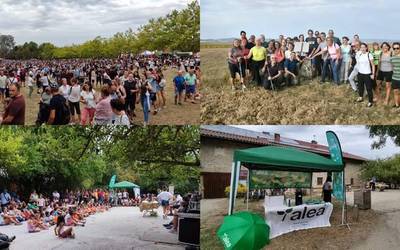 Olarizuko erromeria, iruditan
