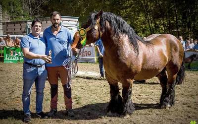 Burgete arrazako zaldi eta behorren lehiaketa arrakastatsua izan dute Urdazubin